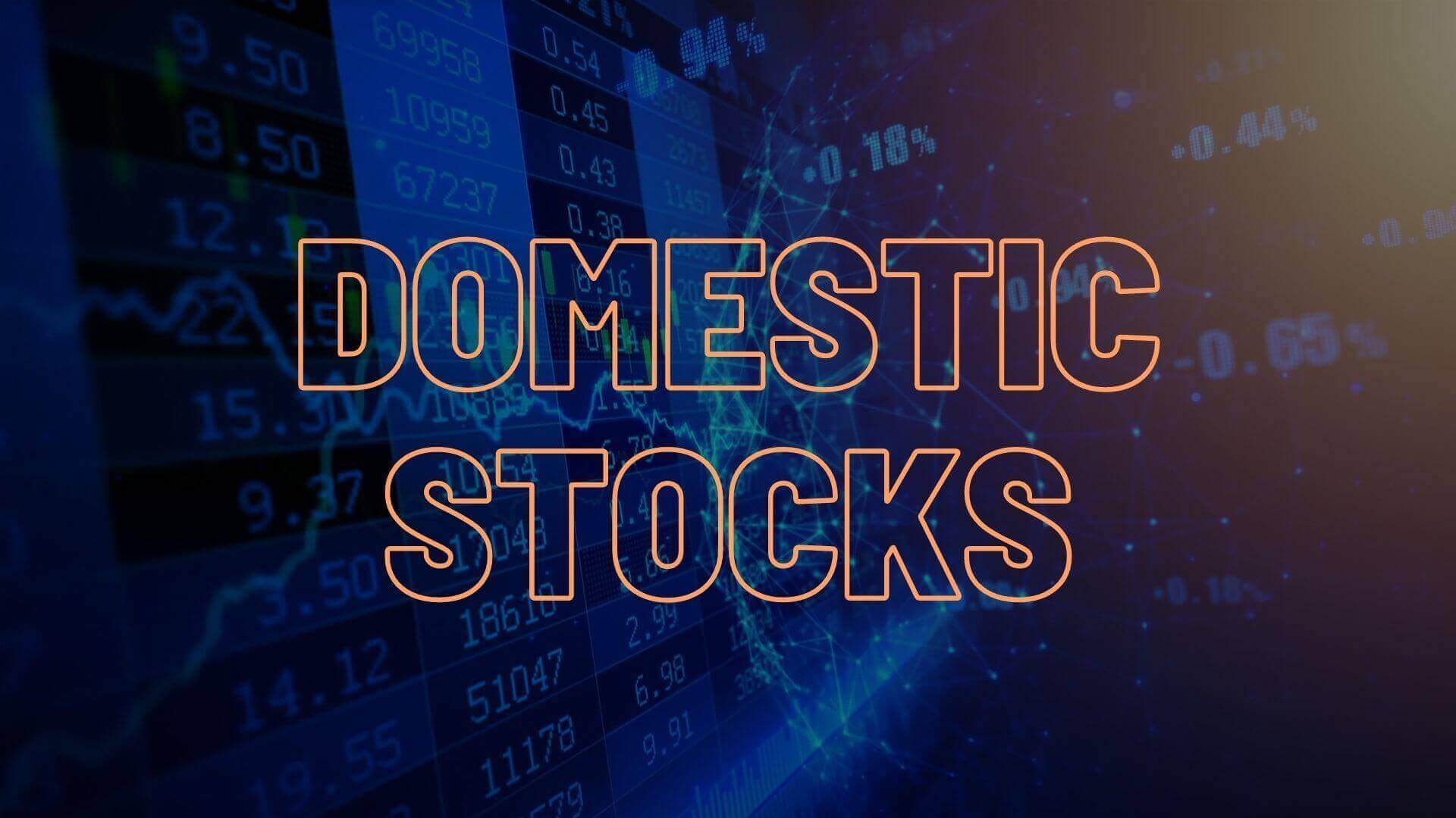 Domestic Stocks