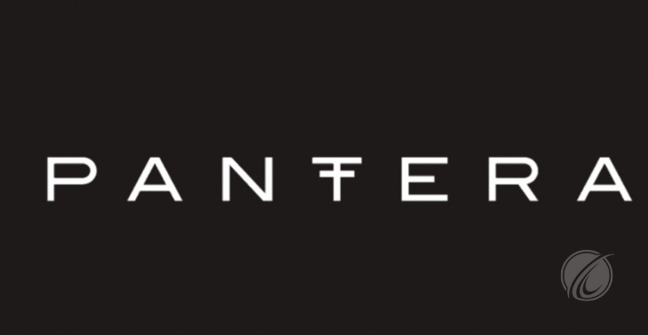  Pantera Capital CEO: Bitcoin (BTC) to Hit $700,000