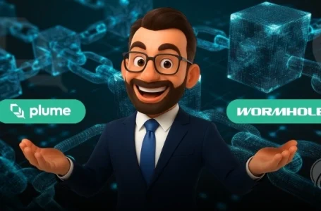 Plume Goes Live on Wormhole With Over 40 Blockchain Support